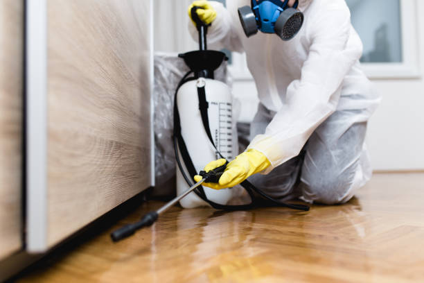 Best Flea Control Services  in Krum, TX