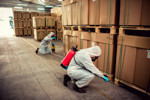 Best Best Pest Control Near Me  in Krum, TX