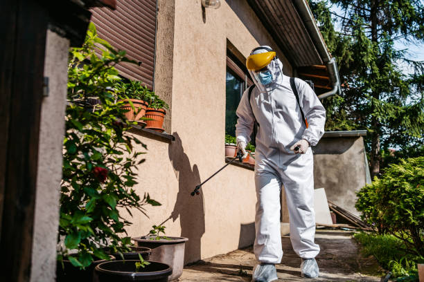 Best Pest Control Near Me in Krum, TX