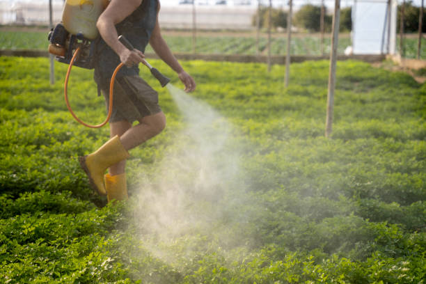 Best Pest Removal Services  in Krum, TX