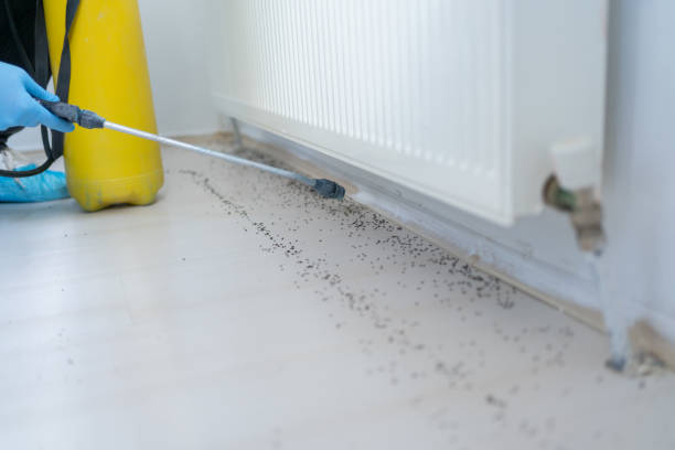 Best Best Pest Control Companies  in Krum, TX