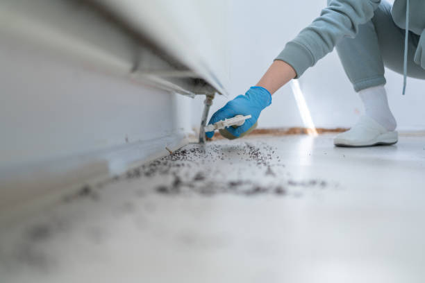 Pest Control for Restaurants in Krum, TX
